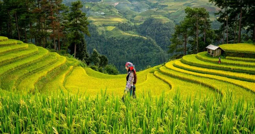 命理師指出立秋期間，巨蟹、水瓶、雙子、獅子及天秤等5個星座將迎來好運。（示意圖／pixabay）