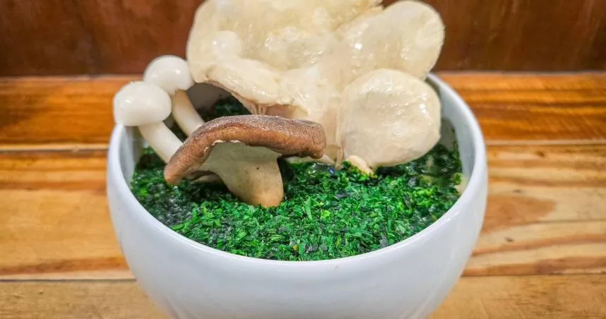 「高雄安全島拉麵」以青海苔粉鋪成草皮,放上大朵鮑魚菇重現豪雨生菇奇景。(圖/翻攝自拉麵公子FB)