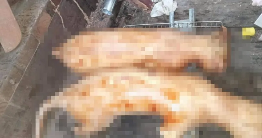 日前有越南籍移工在中南部地區捕殺流浪貓狗，然而近日又有越南籍移工捲土重來，上網表示有「狗肉」可賣。（圖／CTWANT）