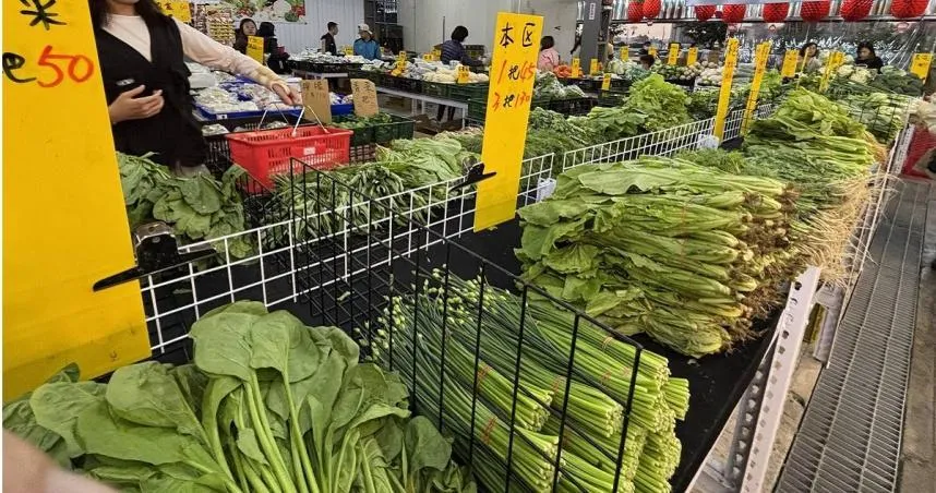 ７月後菜價持續居高不下，隨著農民復耕，空心菜價格也下降。（圖／報系資料照）