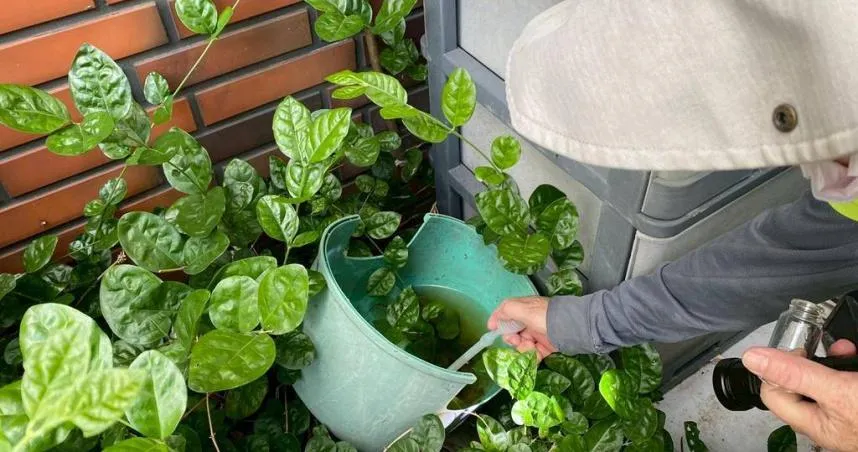 防疫團隊針對居住地與周邊警戒範圍啟動地毯式強制孳生源檢查。(圖/高雄市衛生局提供)