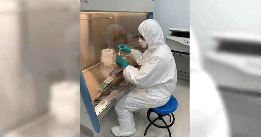 類鼻疽桿菌適於高溫、潮濕且酸鹼值偏中性環境，可在土壤中存活達30個月，在水中更可存活長達16年。(圖/農業部)