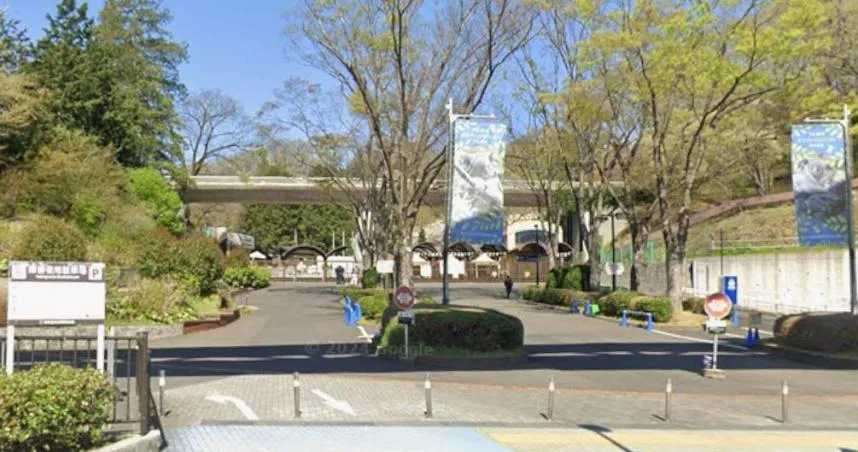 日本東京都日野市的多摩動物公園於28日上午發生一起狼隻脫逃事件。(圖/翻攝自Google Map)