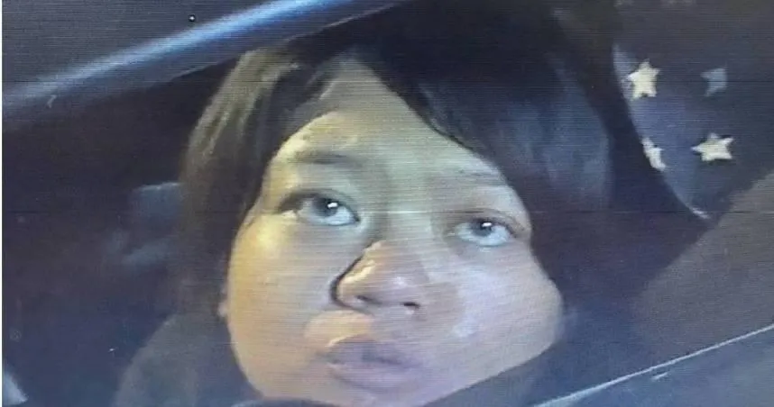 陳嘉瑩涉嫌撞死前來盤查的警察劉宗鑫，陳女一審被判死刑，可上訴。（圖／資料照／翻攝畫面）