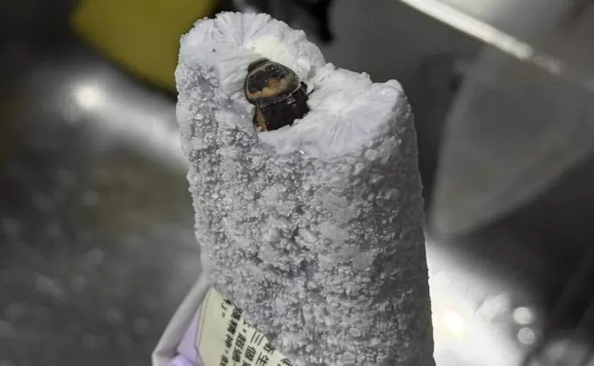 食安問題不斷!近日一對情侶在超商購買連珍推出的芋頭冰棒時,發現冰棒內竟包裹著「一整隻完整蟑螂」,讓兩人驚嚇不已。(圖/翻攝自Threads)
