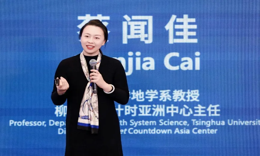 清華大學地球系統科學系教授、柳葉刀倒計時亞洲中心主任蔡聞佳。(圖/翻攝澎湃新聞)