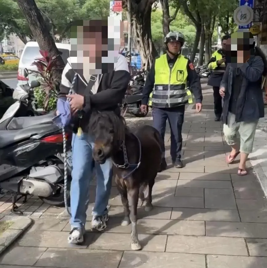 黑馬在街頭遊蕩引起民眾關注。(圖/翻攝畫面)