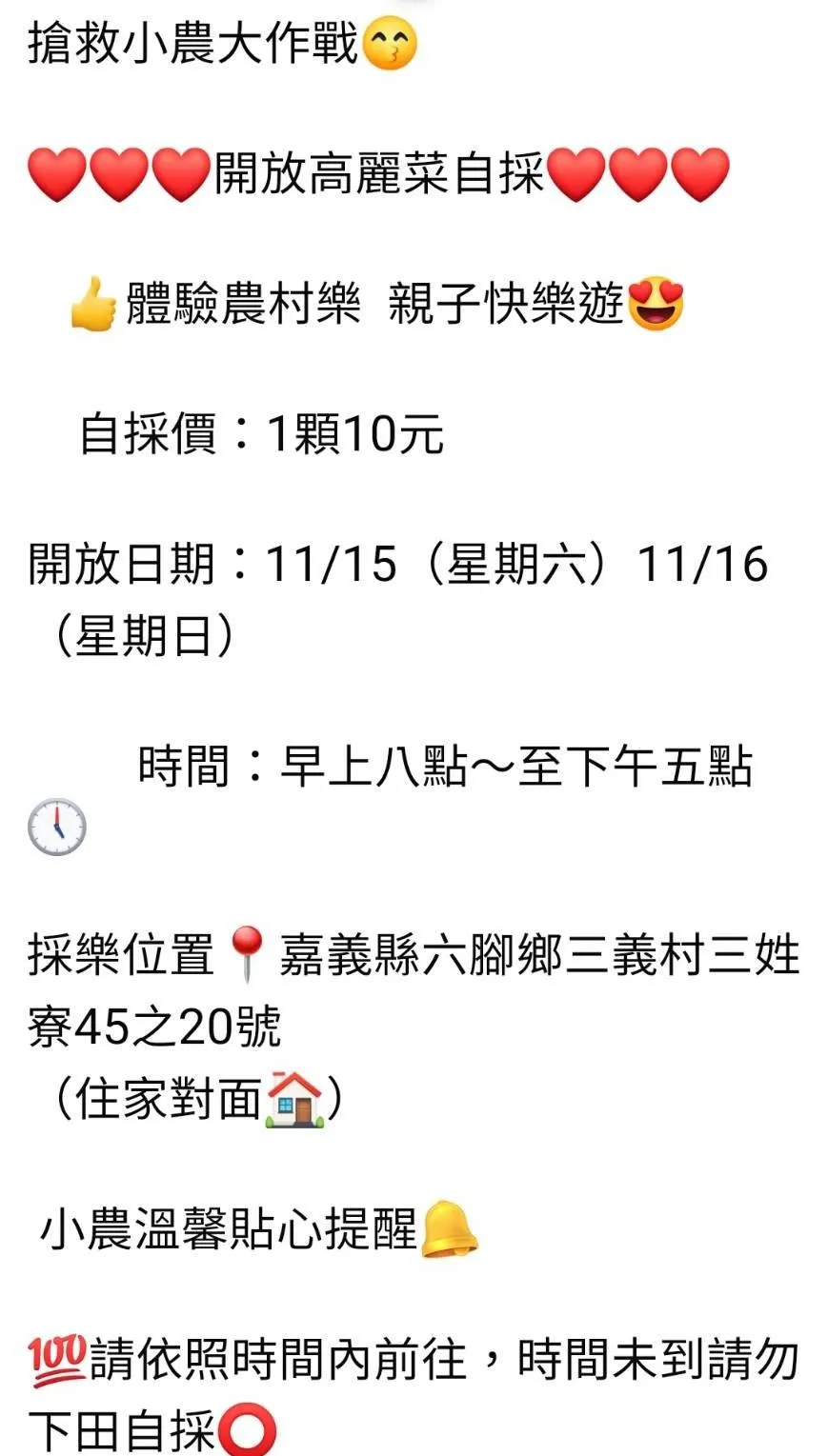 嘉義縣有農民推出「搶救小農大作戰」開放高麗菜自採1顆10元的優惠方案。(圖/翻攝畫面)