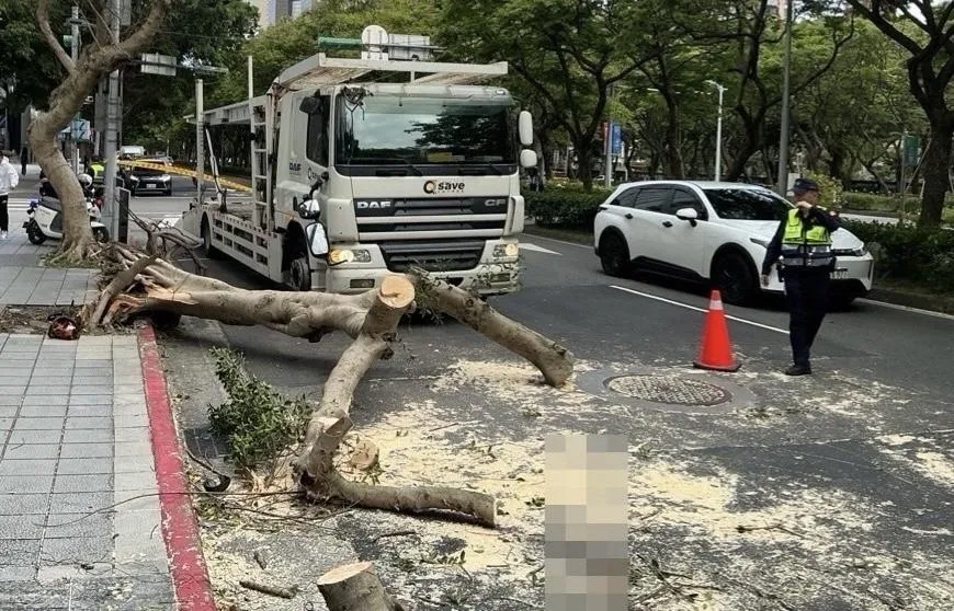 北市一輛大貨車撞斷路樹。(圖/翻攝畫面)