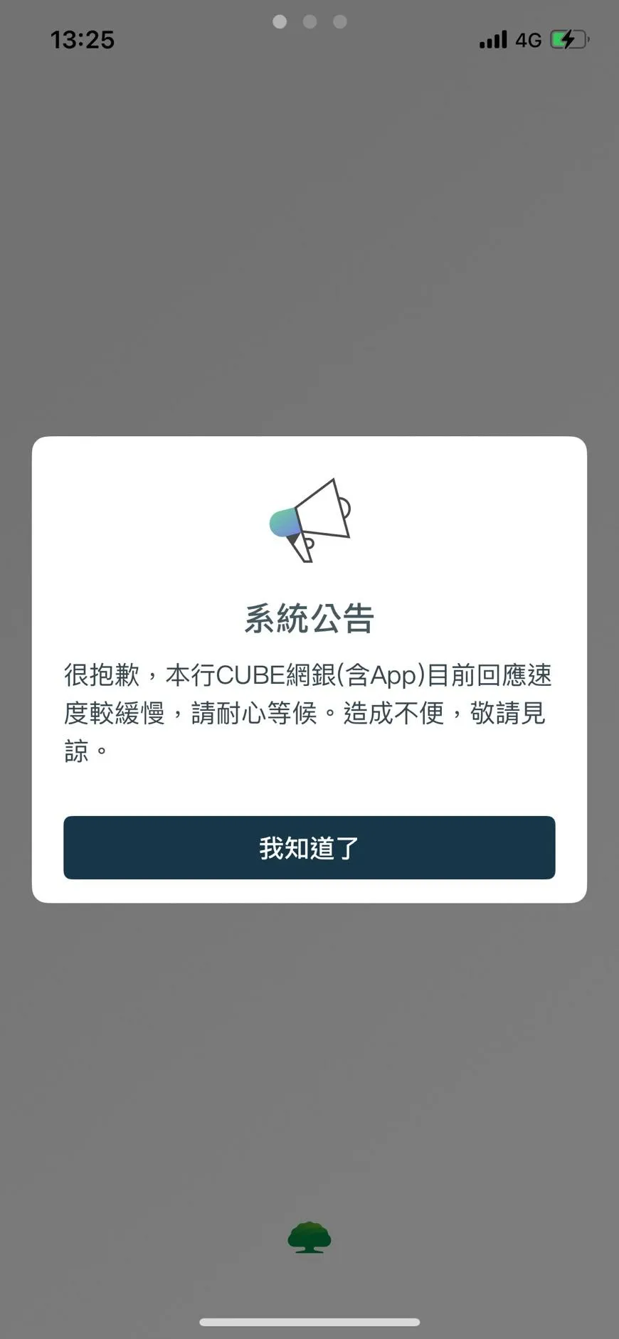 國泰世華APP傳出當機災情。（圖／中天新聞，下同）