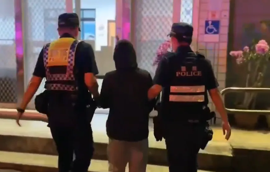 警方將阮女逮捕到案。（圖／翻攝畫面）