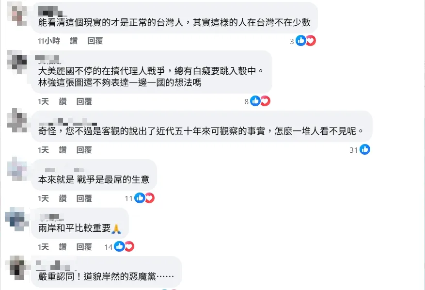 網友留言。（圖取自林強臉書）