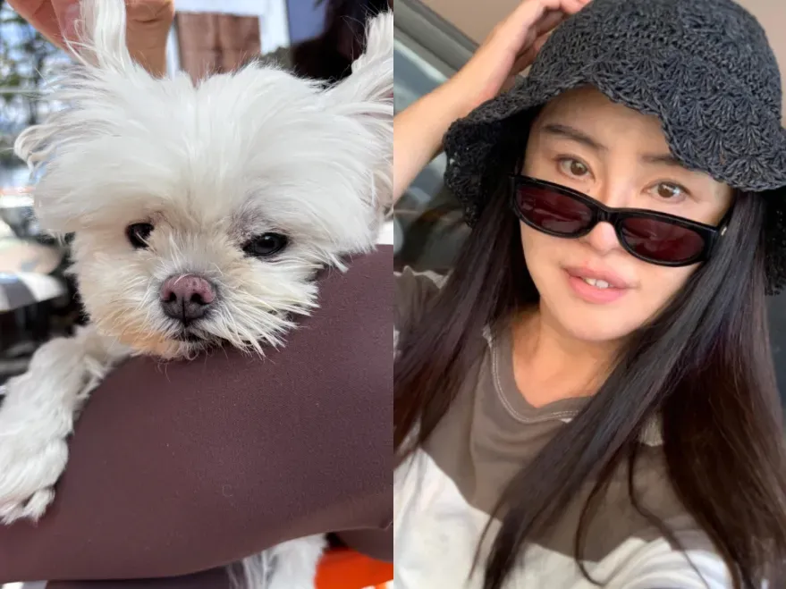 王祖賢1月31日曬出與愛犬的近照,向大家拜年。(圖/翻攝自王祖賢百度貼吧)