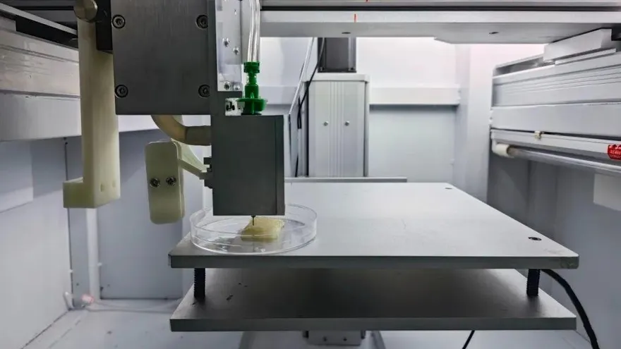 3D列印魚排？17天細胞培養出「肉泥」　浙江大學：與自然魚肉無差別