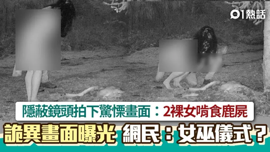 2裸女生食鹿屍影片曝光！隱蔽鏡頭拍下詭異畫面　網驚呆：進行女巫儀式？
