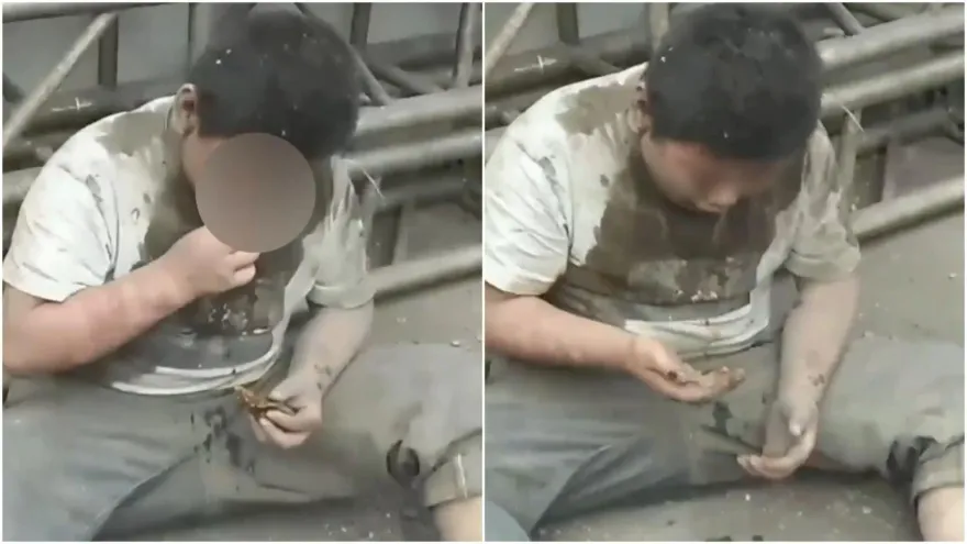 影/拳頭硬了！男童遭霸凌被逼吃屎　作嘔還被威脅「咽了」引眾怒