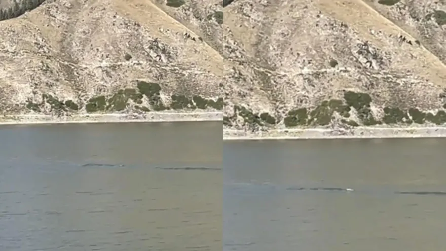 影/銀色「水怪」現身新疆天山天池？長約15公尺水中快速前進