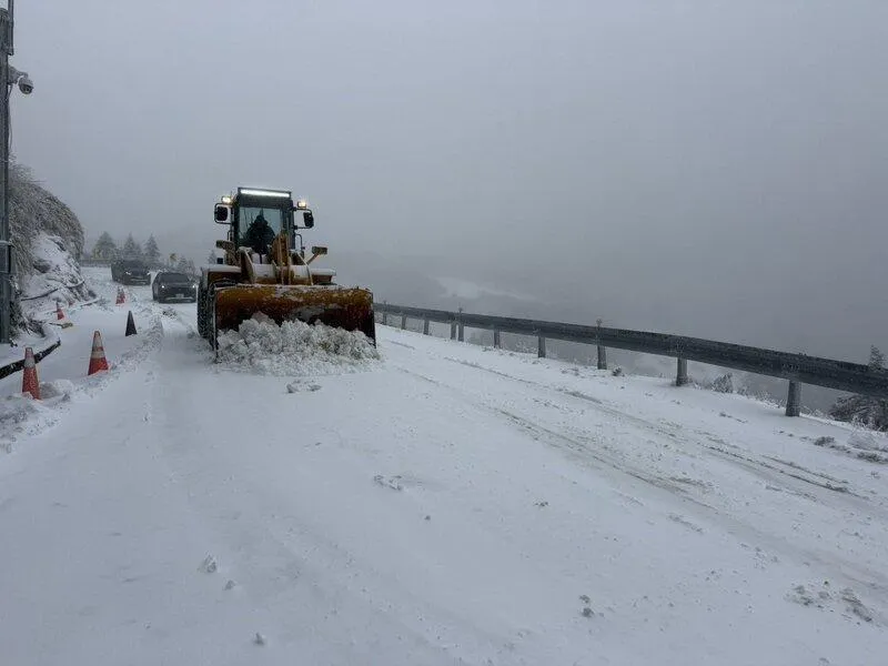 賞雪注意！合歡山降雪　台14甲線部分路段16時預警封閉