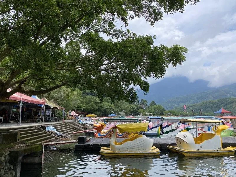 花蓮鯉魚潭天鵝船翻覆9歲童溺死　縱管處：全面檢討