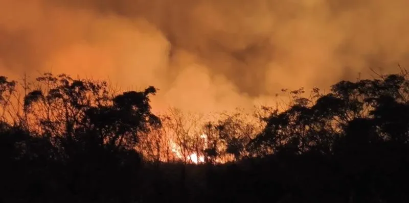 10公里外都看到火光！台東知本溪出海口野火燒整夜