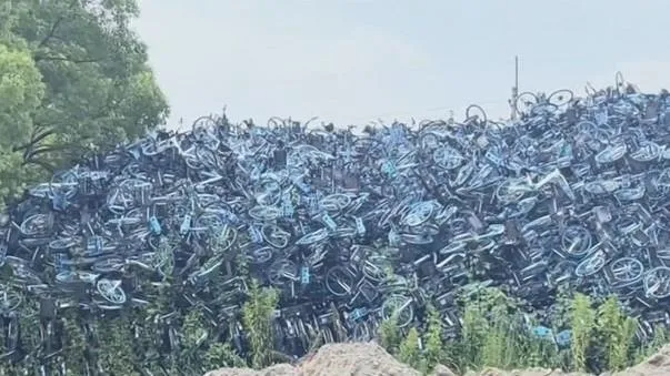 共享單車停放監管難！陸媒驚爆：過度治理違停　出現「日進萬元」扣車產業鏈