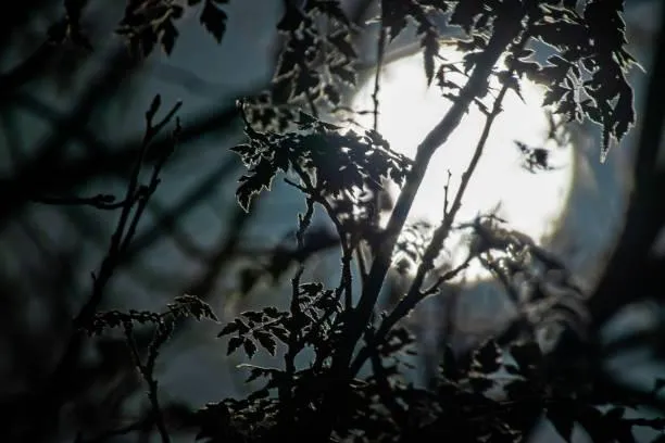 鬼話連篇/妹子稱「看完靈異頻道」吐發抖　怪罪黑兔凶！網譏：身體不好看醫生