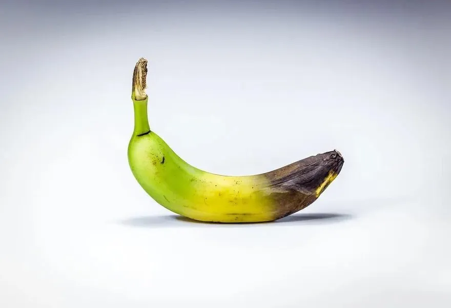 GG臭到不敢偷吃！醫揭６原因：習慣太差恐發酵飄惡臭