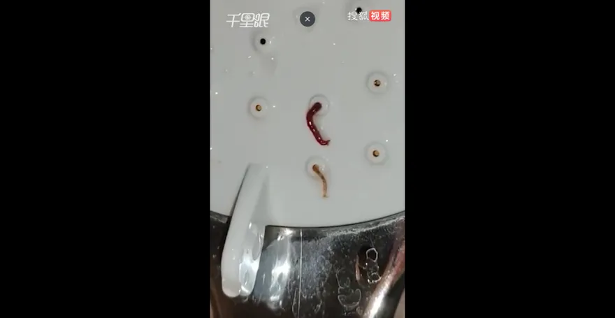 雞皮疙瘩掉滿地！洗澡驚見「紅色怪蟲」竄出蓮蓬頭　詭異扭動讓女子嚇到崩潰