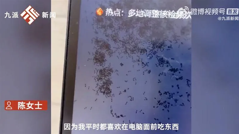 喝奶茶灑進螢幕裡！粗心妹開電腦驚見「螞蟻築巢」　超濃密黑點亂舞…網全看傻