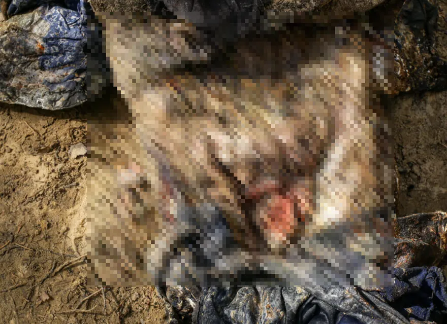疑生前遭虐殺！400屍藏亂葬崗　她淚曝「難辨認、生殖器被切 」：混蛋該付代價