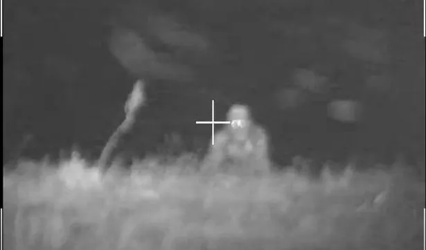 影／荒野巨影疑大腳怪現蹤！呆坐荒野神隱草叢　他轉頭見「發光雙眼貼近凝視」