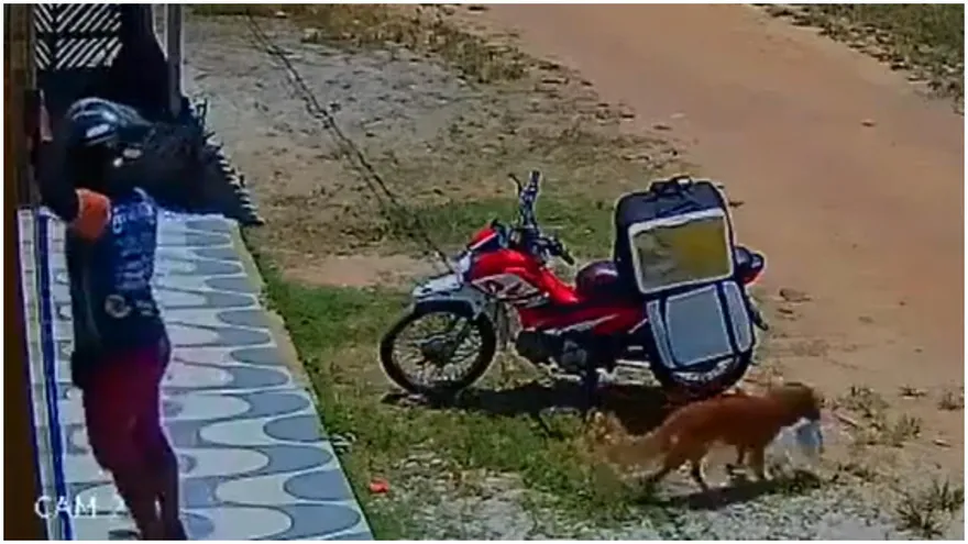 外送員「按完門鈴食物不見」調皮兇手超熟練：整個地板都是偶的餐桌！