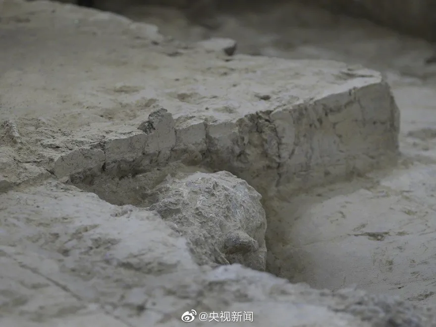 眉弓隆起！湖北發現百萬年「直立人」頭骨化石　歐亞內陸迄今最為完整