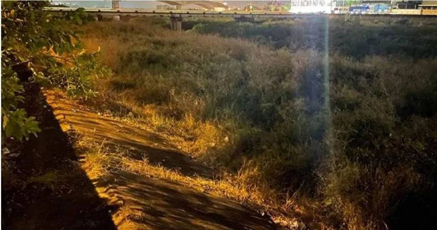 「腹胸中刀」倒臥草叢亡！台中男神隱半日成冷屍…旱溪東昇橋下斷魂家屬淚崩