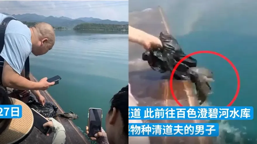 芭比Q了！廣西男放生「清道夫」挨罰12.5萬  外加7日內自行水庫撈回...