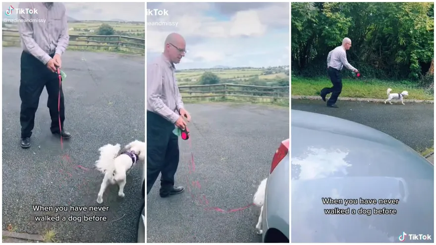 首次遛狗卻被遛！菜鳥「慌張神情＋滑稽小跑」飼主笑翻：到底誰遛誰啦？