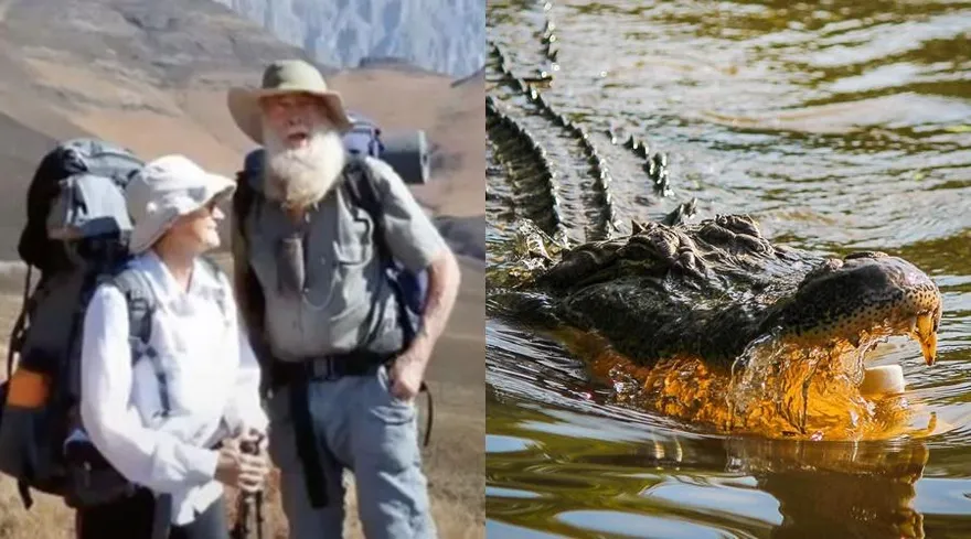 闖深山遇死劫！植物學家夫妻遭狂毆　裝睡袋餵鱷魚…撈起已淪碎屍