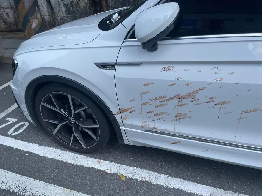 他驚見車門「血跡四濺」！ 竟是亂吐檳榔汁　內行曝：專挑白車血洗