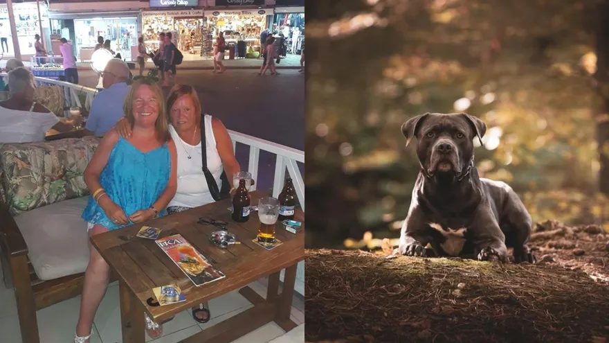 接愛孫放學突不見人影…阿嬤遭「5隻惡霸犬」攻擊身亡