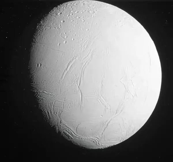 大陸科學家證實土衛二存在大量磷　或有生命型態存在