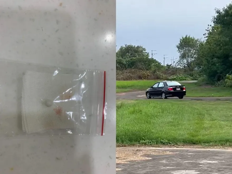 高雄男「持BB槍射狗」還飆車撞人！原因竟是模型被咬　網氣炸：不會射自己嗎