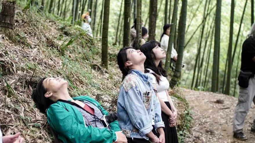 紓壓登場！雲林草嶺石壁森林療癒祭　10/14起連辦3天