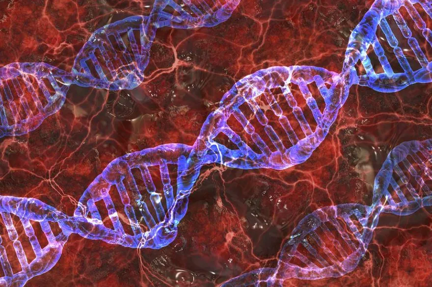 全新種族「新人類」誕生？憂氣候變遷掀浩劫　學者驚曝：猴群正在進化中