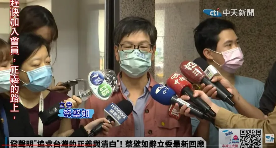 論文涉抄襲疑政治介入？校方一句話讓蔡壁如覺得「怪怪的」