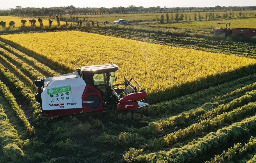 陸人均糧食產量483.5公斤　超過國際安全警戒線