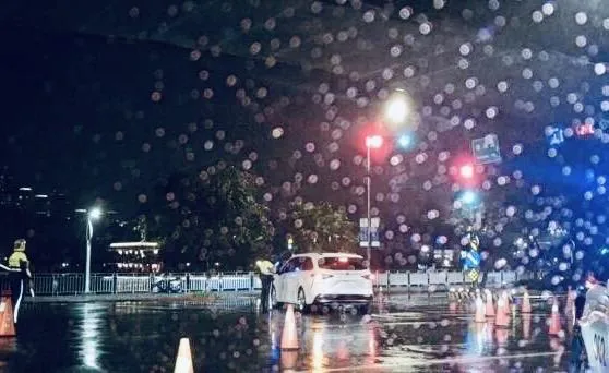 畫面曝光！陳時中座車勘災時違規遭批　內湖警解釋當下為何未開罰