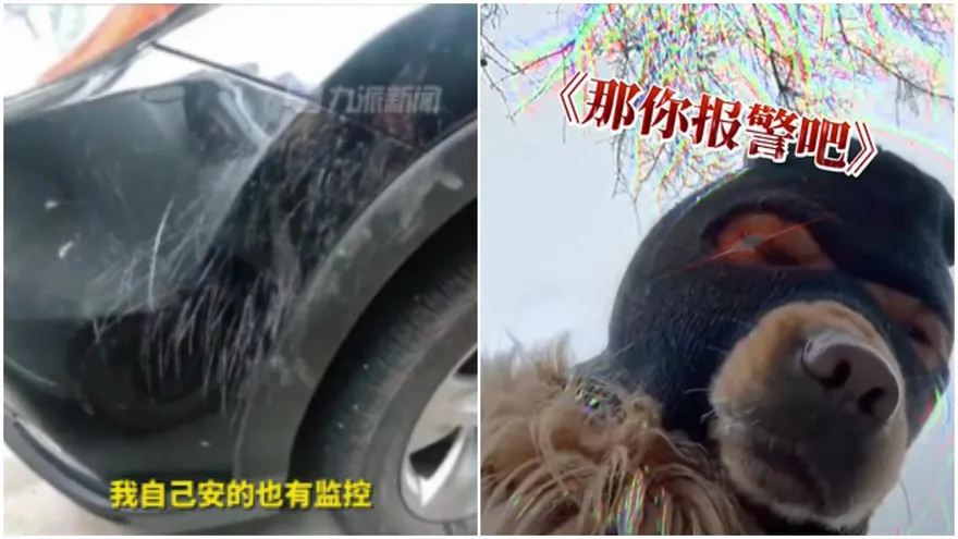 影/愛車被刮！車主爆氣抓兇手「自信逮人」宣告：他逃不掉～見兇手秒臉綠