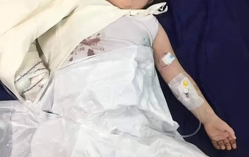 「手伸進圍欄」逗弄熊　3歲女童右手臂被熊咬斷！