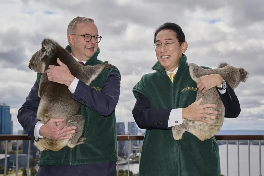 日澳重新簽署安保共同宣言　兩國元首會後抱無尾熊合影笑開懷