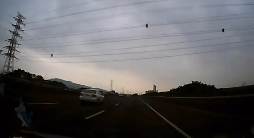 懸掛高速公路半空！他去高雄驚見「蜘蛛人」電纜上狂滑　　網嚇傻：太刺激了…